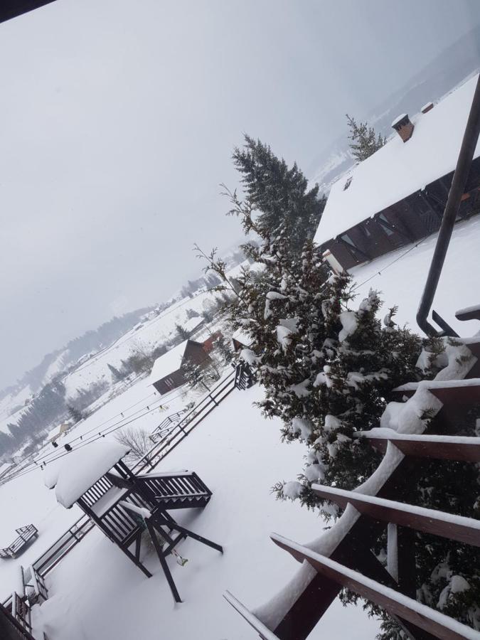 Pensiunea La Bella Vista Poiana Negrii Kültér fotó