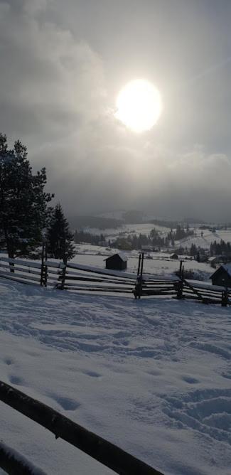 Pensiunea La Bella Vista Poiana Negrii Kültér fotó